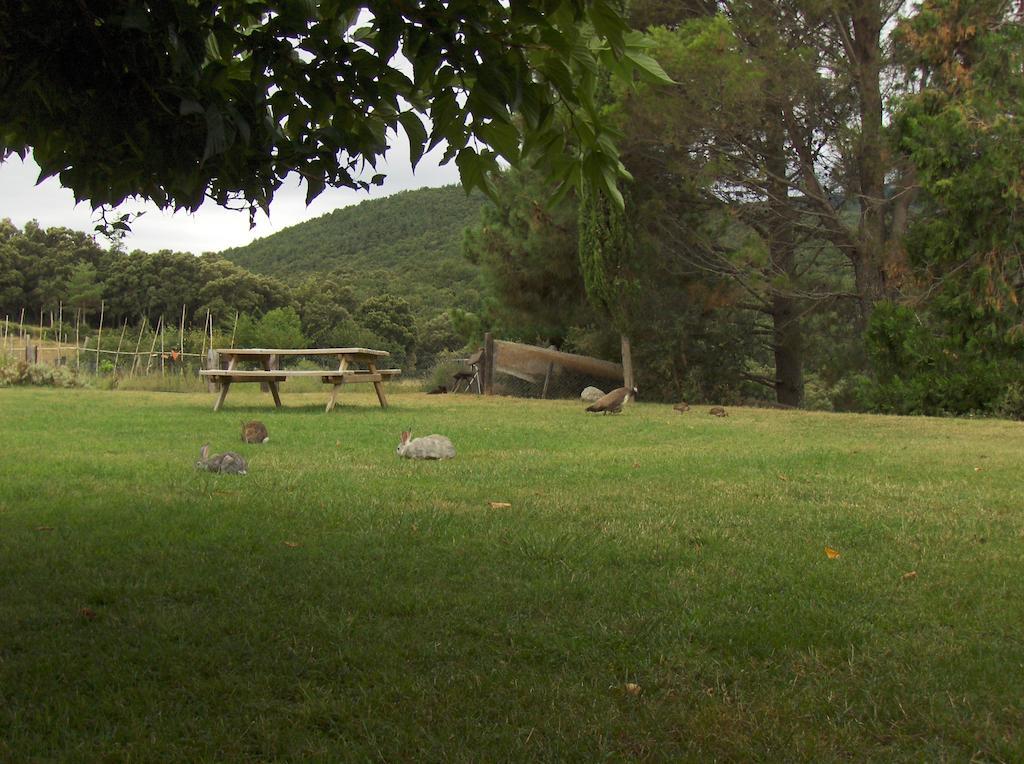 Affittacamere Mas Roquet Maçanet de Cabrenys Esterno foto